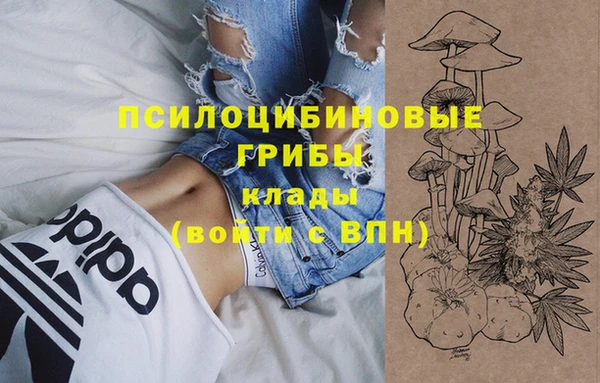мдпв Балабаново